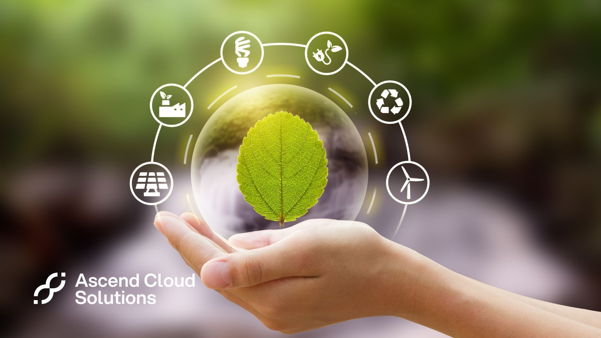 Looking for ways to reduce your company's carbon footprint? Find out how cloud migration can be an invaluable part of your green agenda.