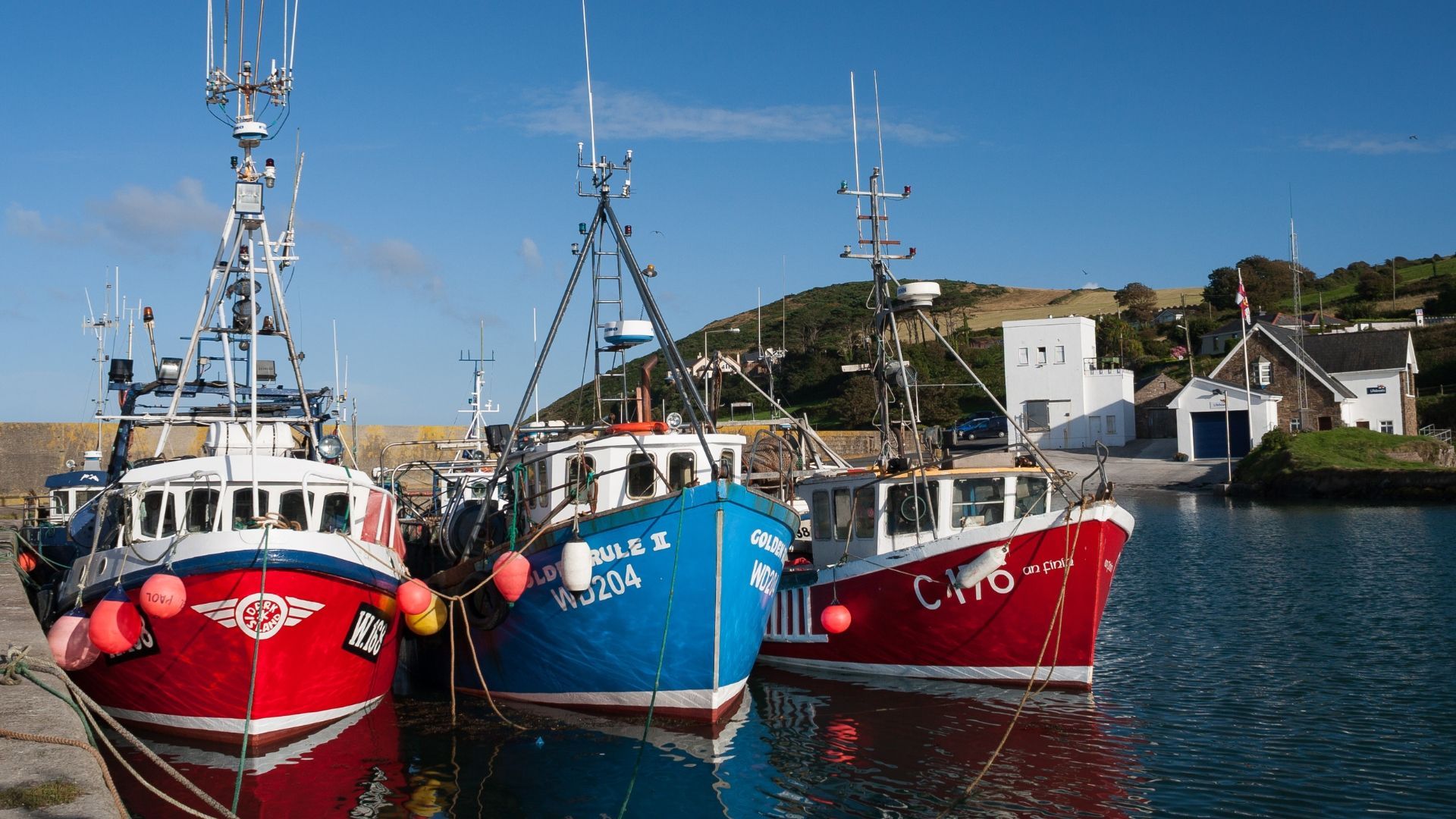 Cloud computing is helping Ireland's fishing industry become more productive and efficient. Find out how.
