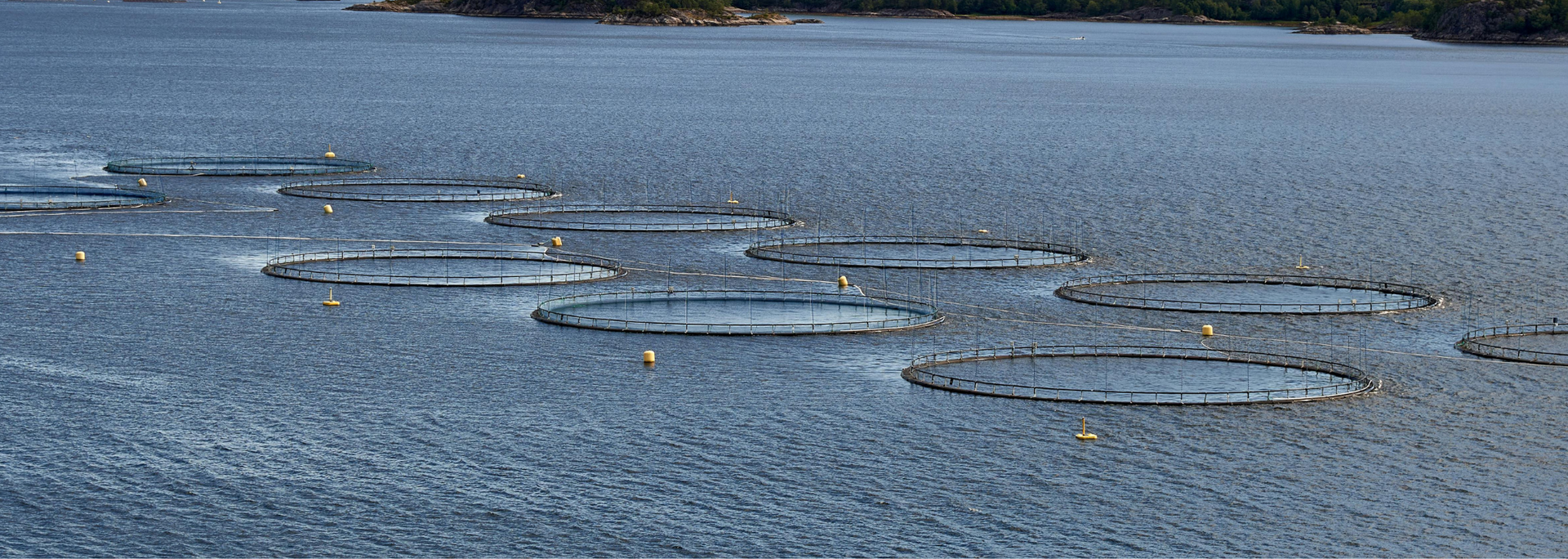 Picture of a modern fish farm.