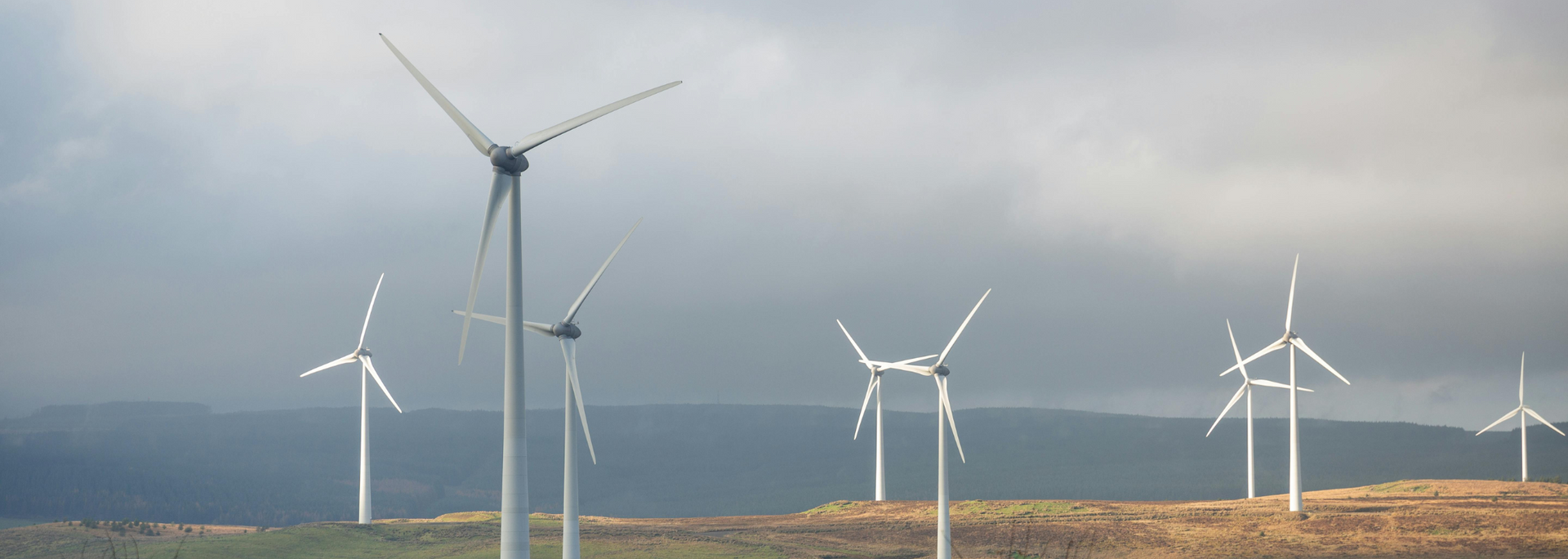 Picture of a wind farm in Ireland.