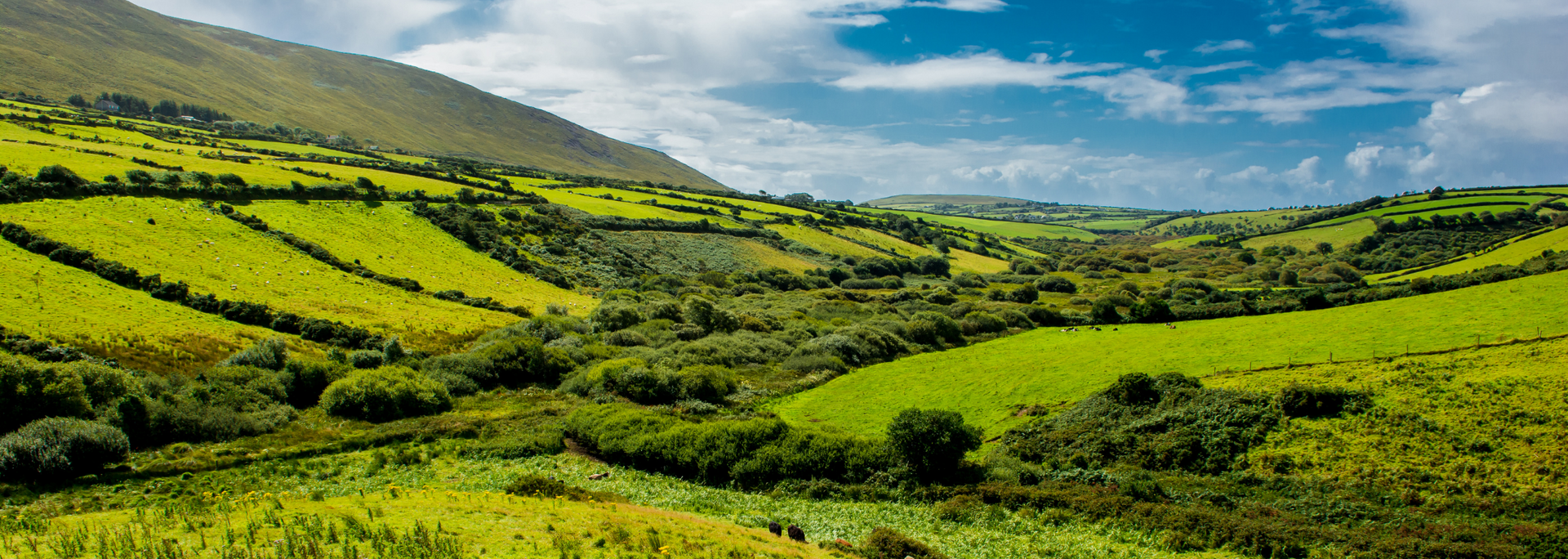 Picture of a rural landscape in Ireland.