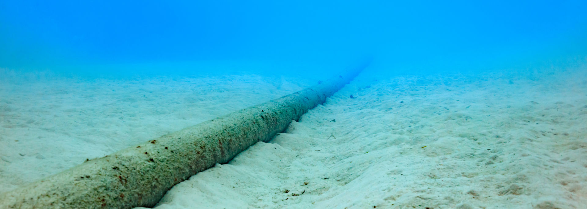 Picture of an undersea fiberoptic cable.