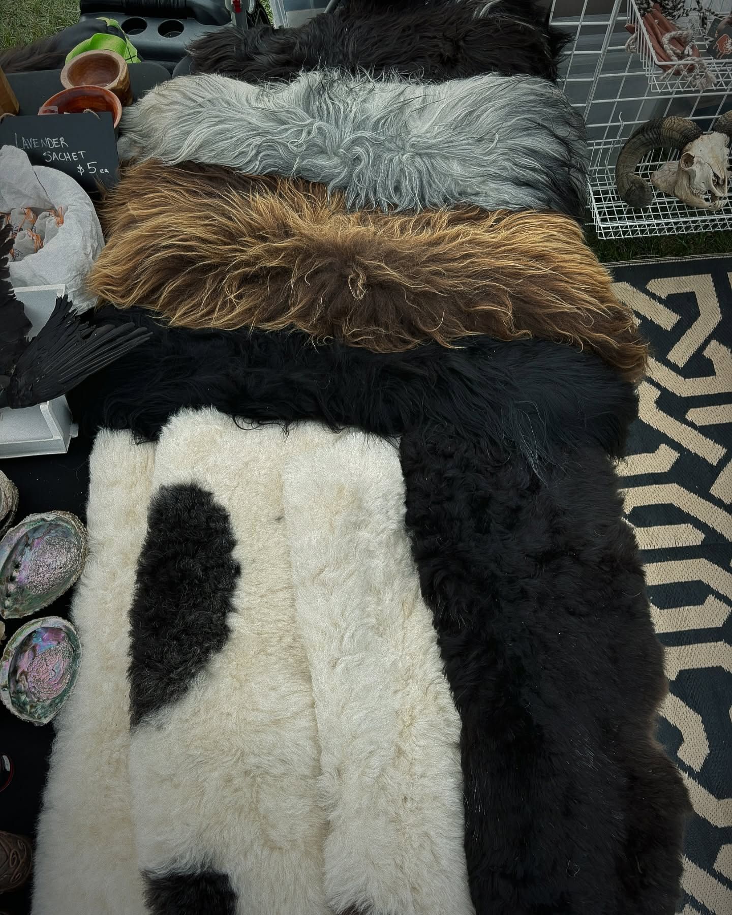 Fur pelts, including white spotted, black, brown, gray, and black, arranged on a table.
