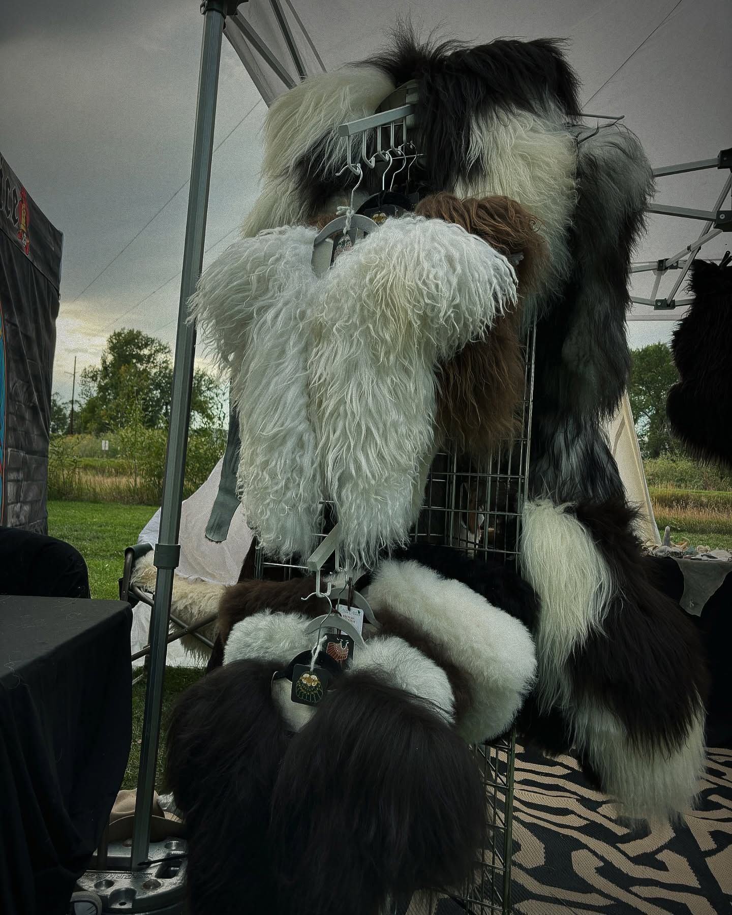 Hairy sheep pelts in black, white, brown, and gray on display in front of a tent and landscape.