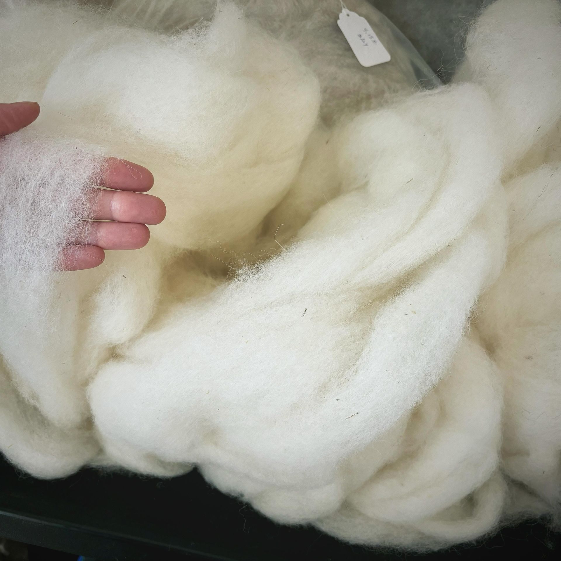 Hand holding a mass of fluffy, white wool, with more wool in the background.