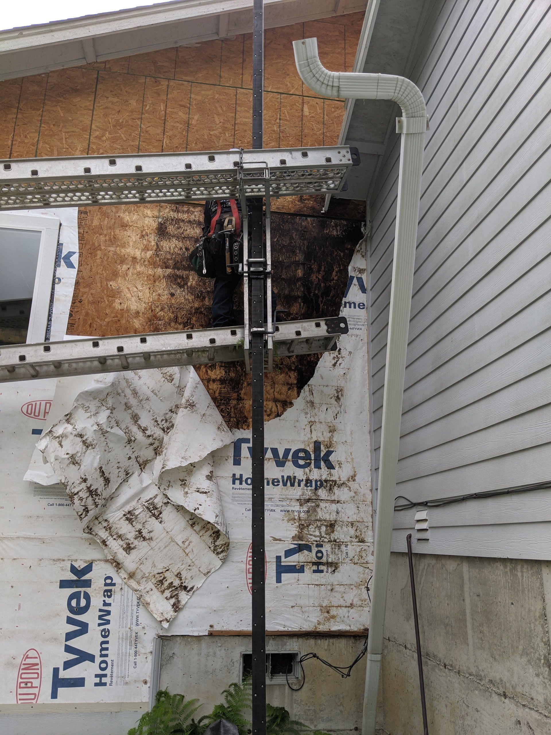 Home Siding Under Construction — Sedro Woolley, WA — Complete Siding & Windows, LLC