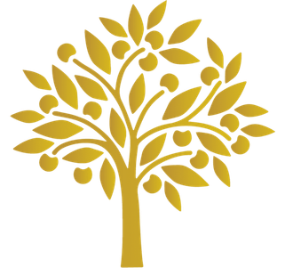 Man with crutches walking outdoors, looking up. Trees in the background.