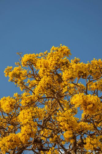 Four people in business casual attire posing indoors. Two seated and two standing. Blue and red shirts.