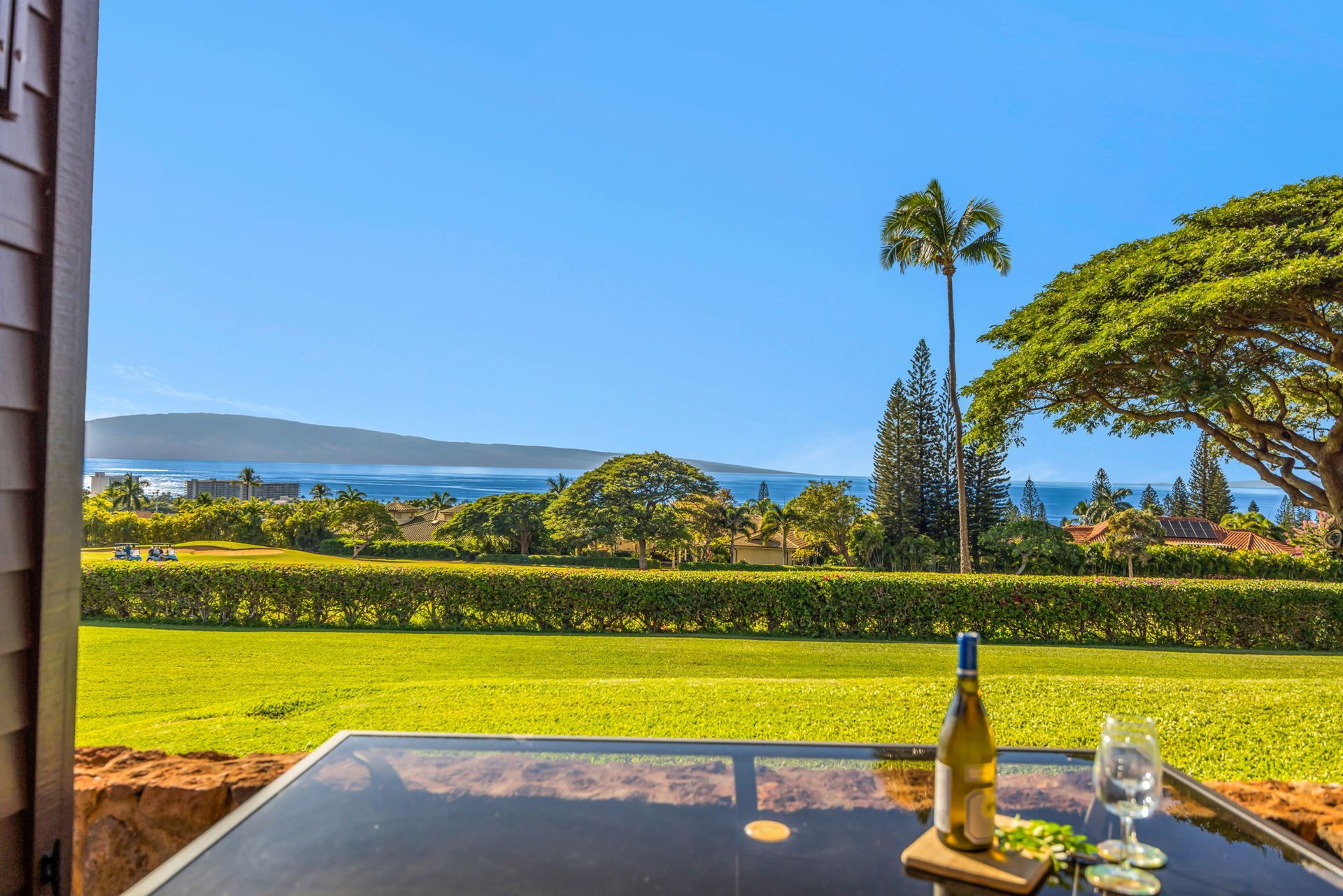 A glass table with a wine bottle and glass overlooks a grassy lawn, palm tree, and ocean view under a clear blue sky.