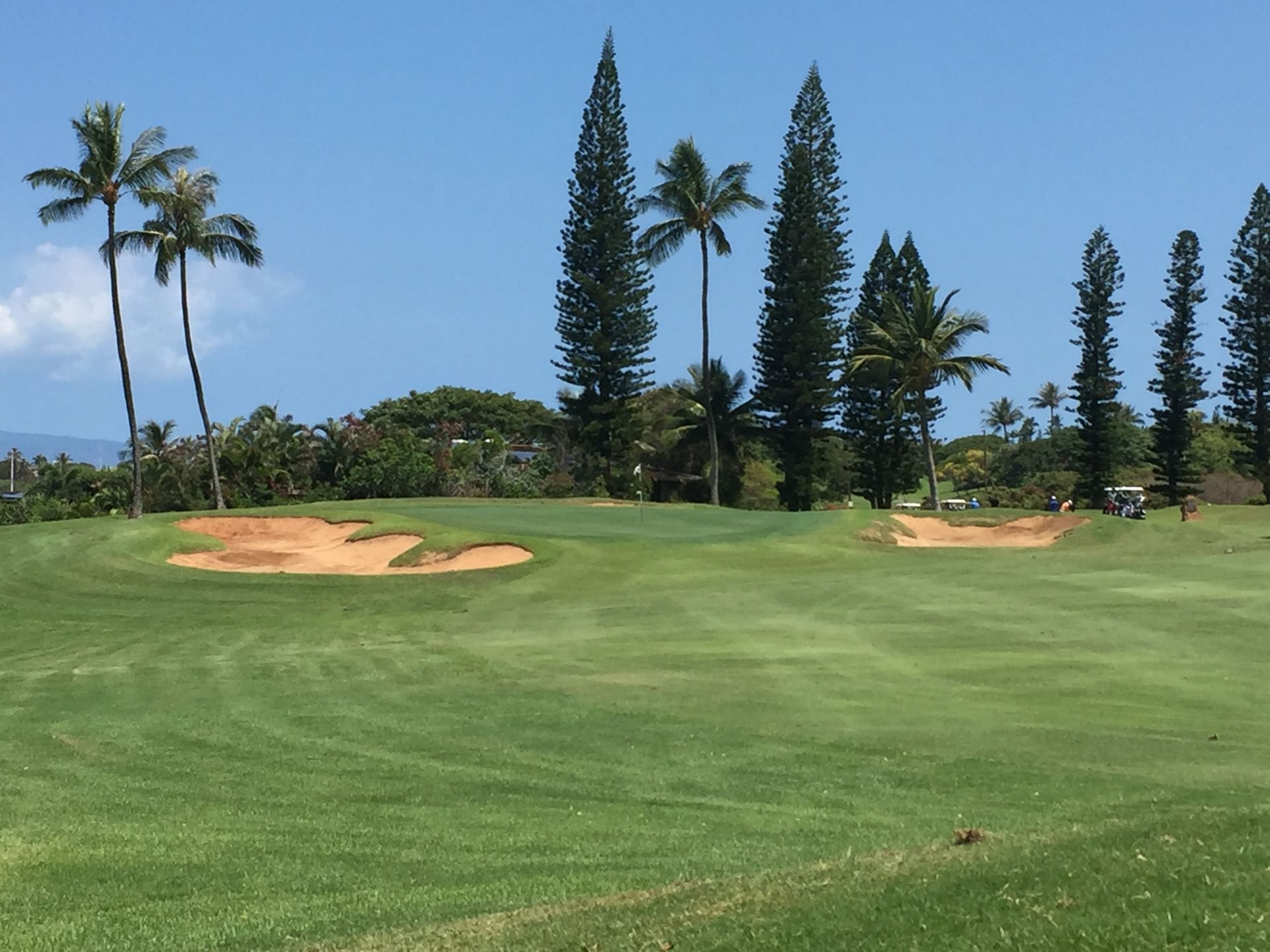 A golf course fairway leading to a green with sand traps, surrounded by tall pine trees and palm trees under a blue sky.