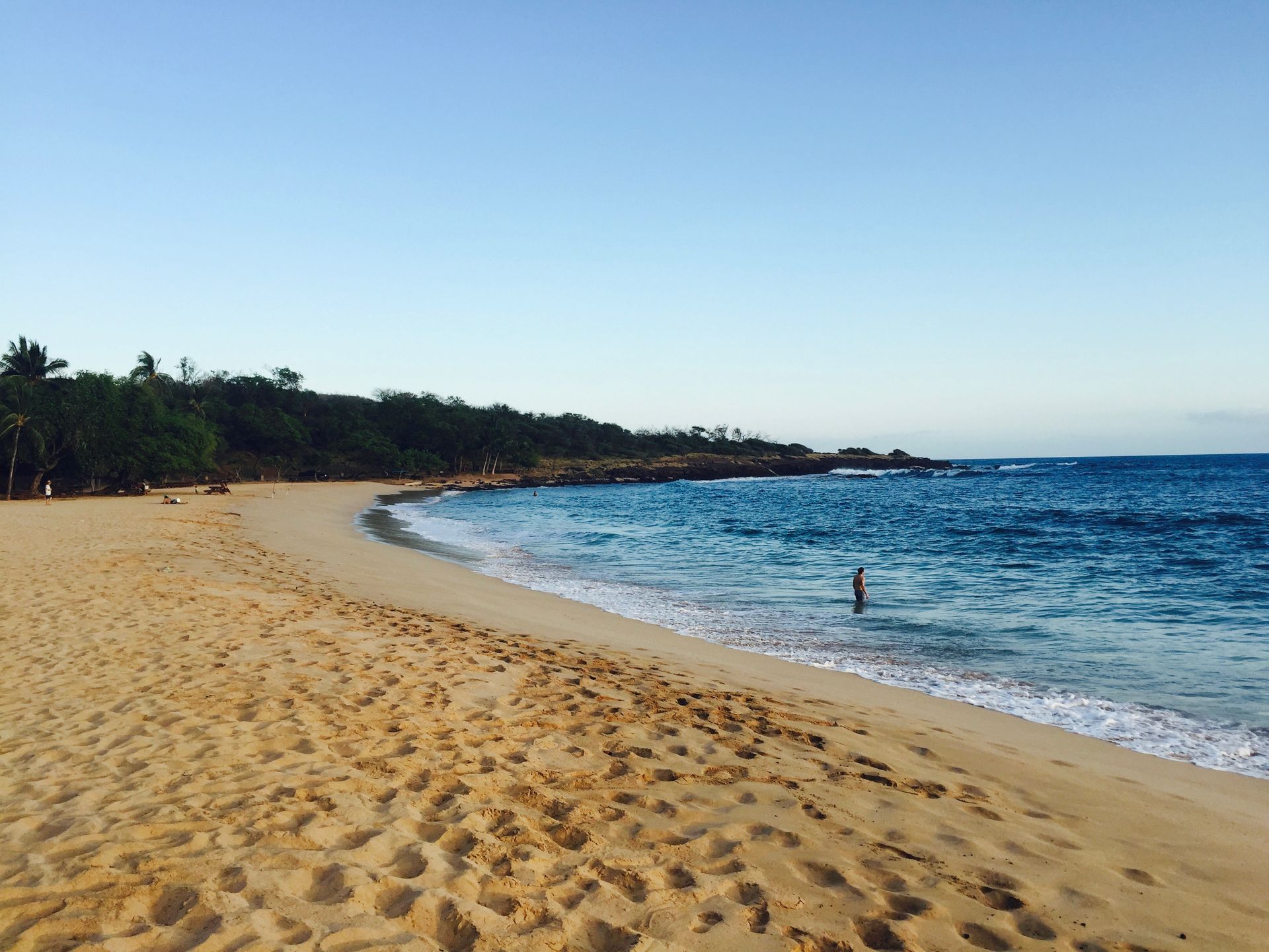 A person wading in the ocean along a sandy beach under a clear blue sky, with lush green trees lining the shoreline.
