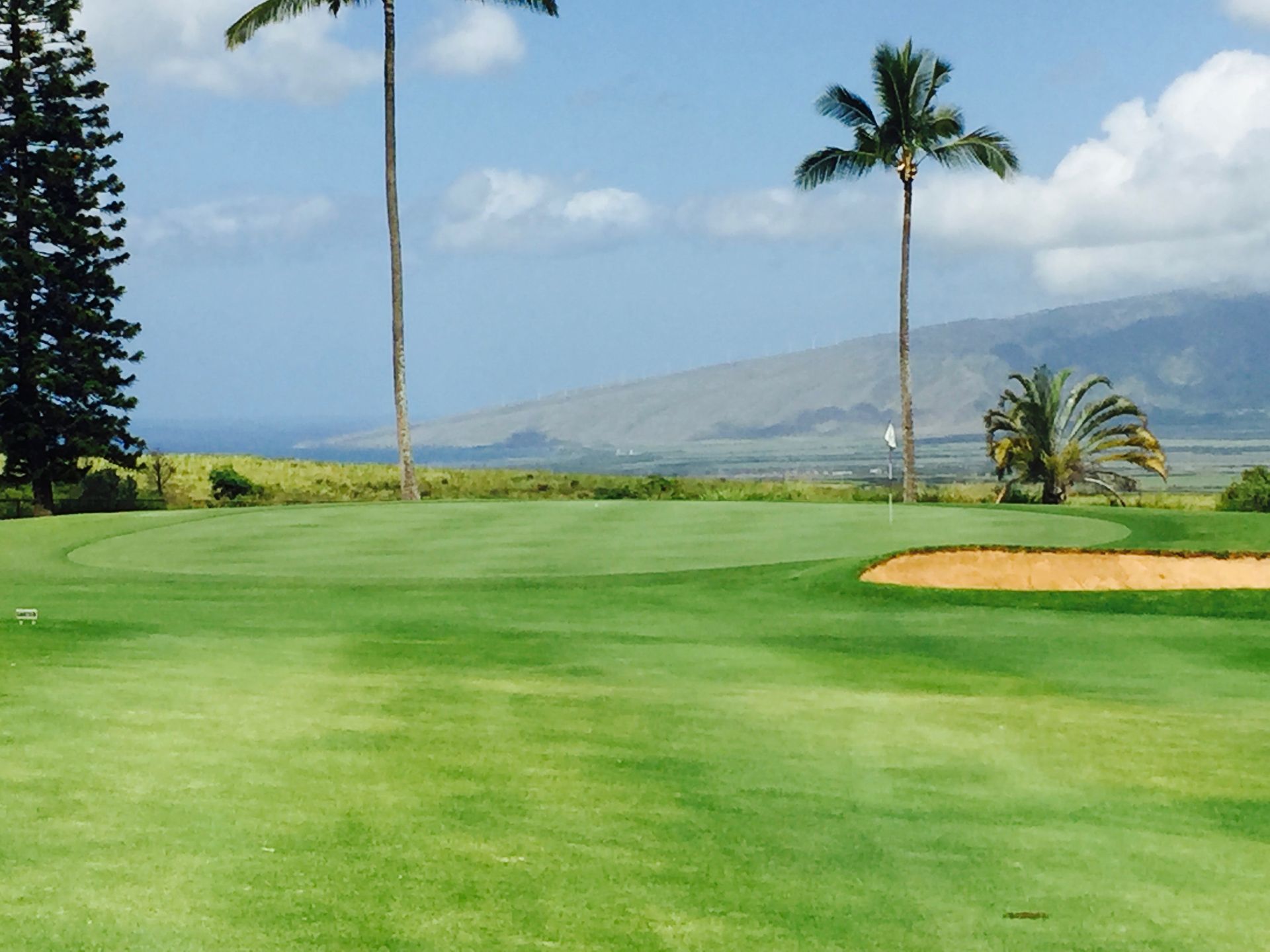 A golf green with a sand trap on the right, palm trees in the background, and mountains under a blue sky.
