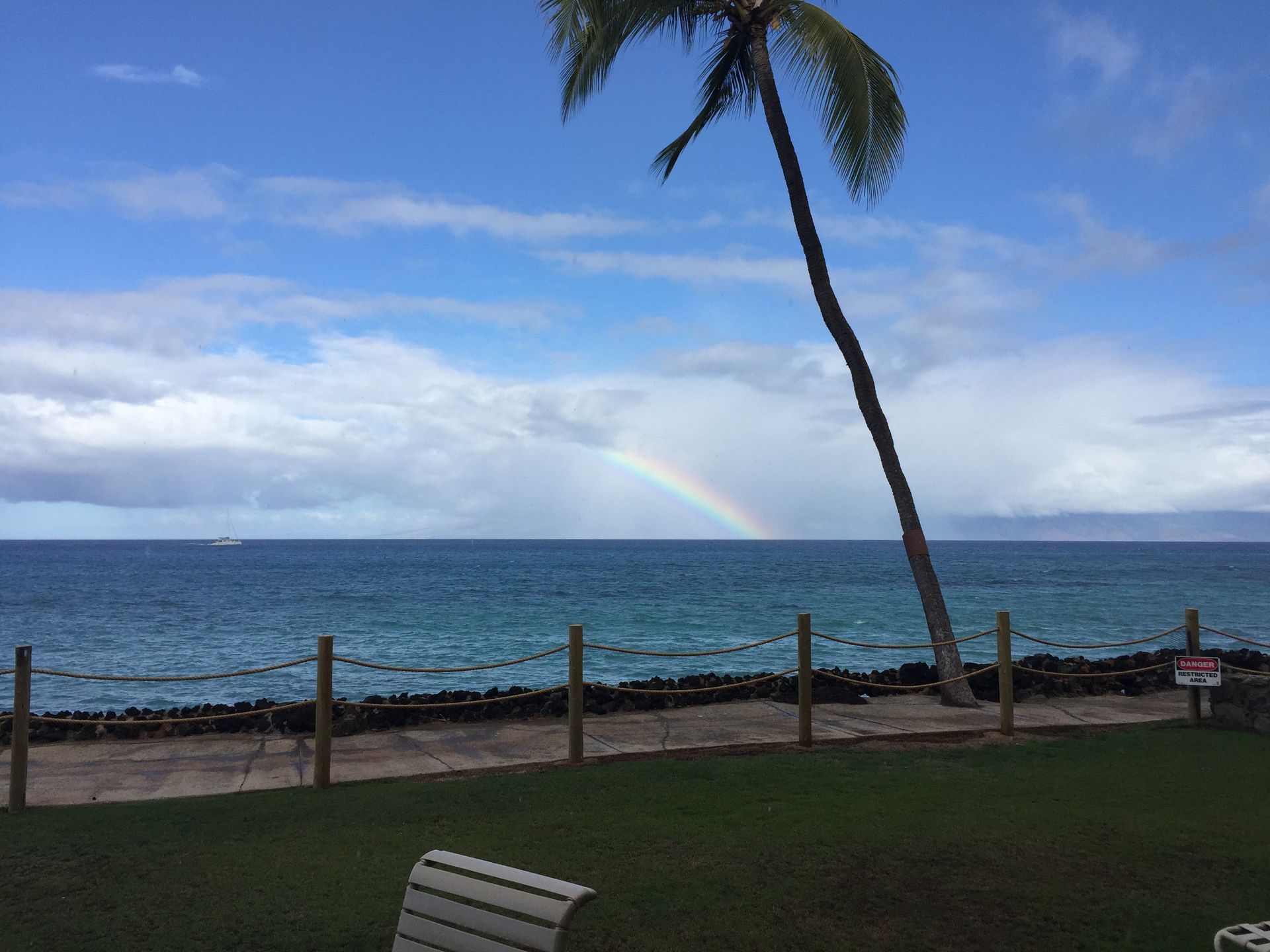 A lone palm tree leans over a grass lawn by the ocean, where a faint rainbow appears on the horizon under a cloudy sky.