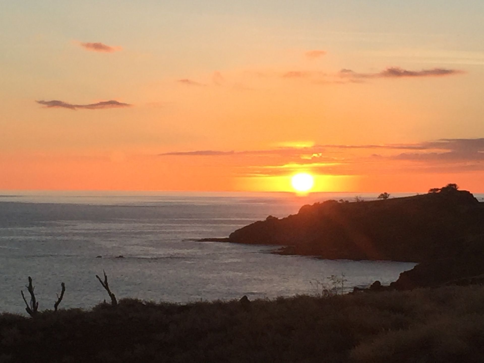 Golden sunset over a calm ocean, with silhouettes of a rocky headland and dry coastal grasses in the foreground.