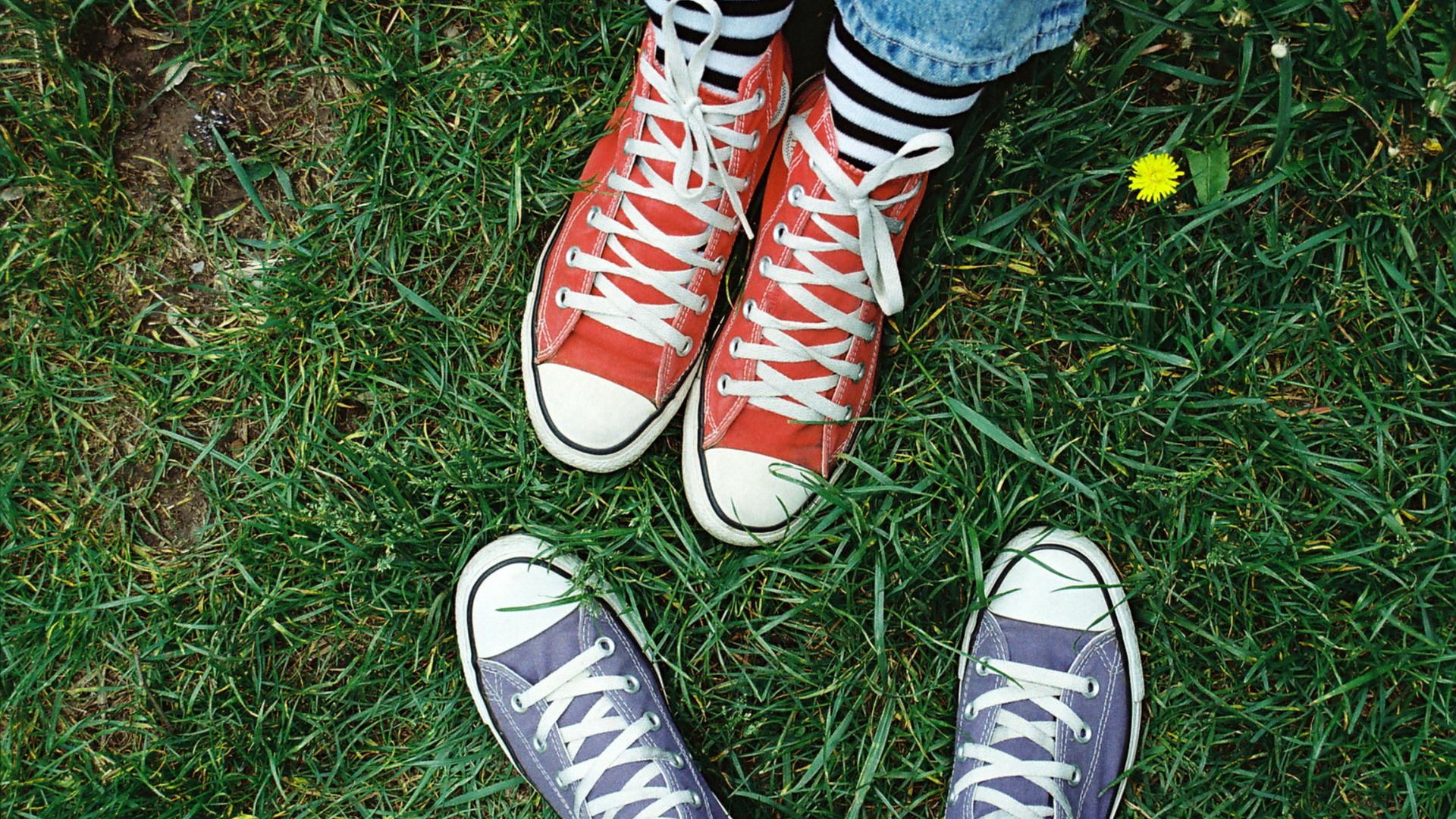 A row of tall palm trees against a soft, light-filled sky.