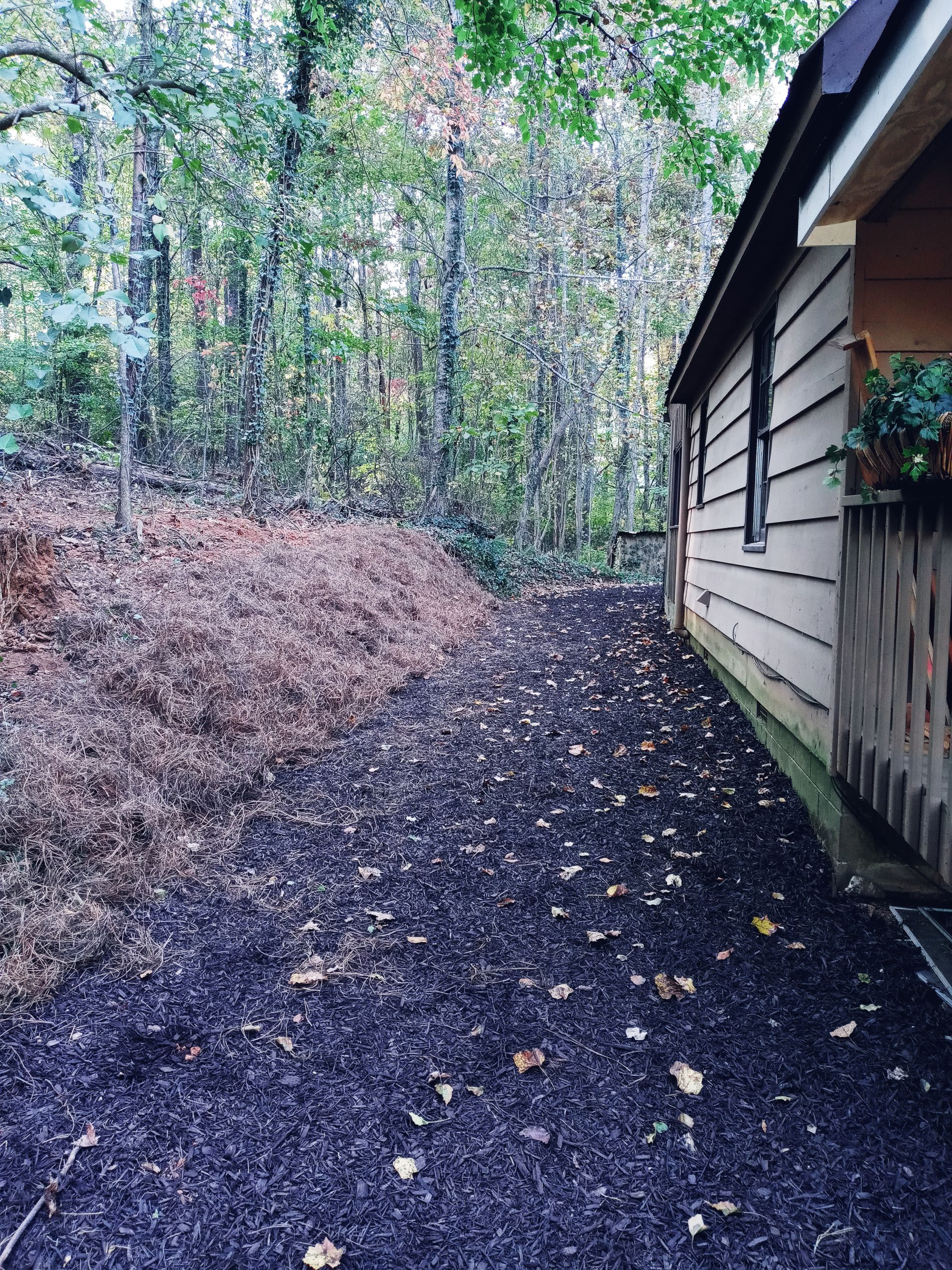 A path leading to a house in the woods