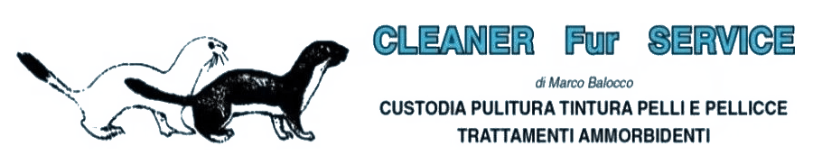 CLEANER FUR SERVICE - LOGO