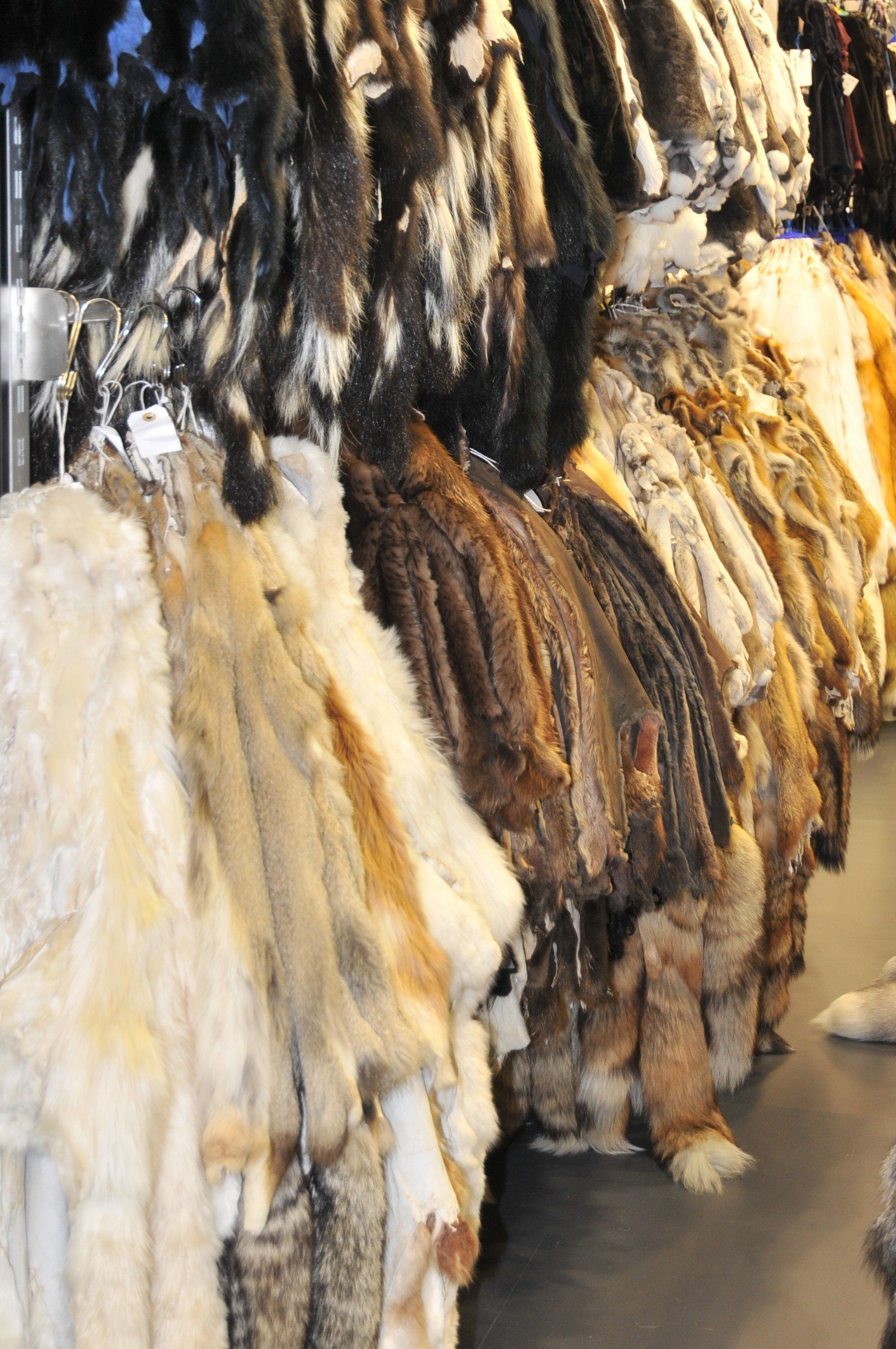 vari modelli di pellicce