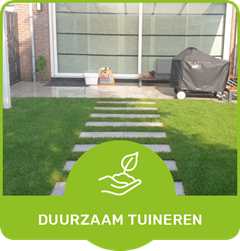 Stenen pad door gras