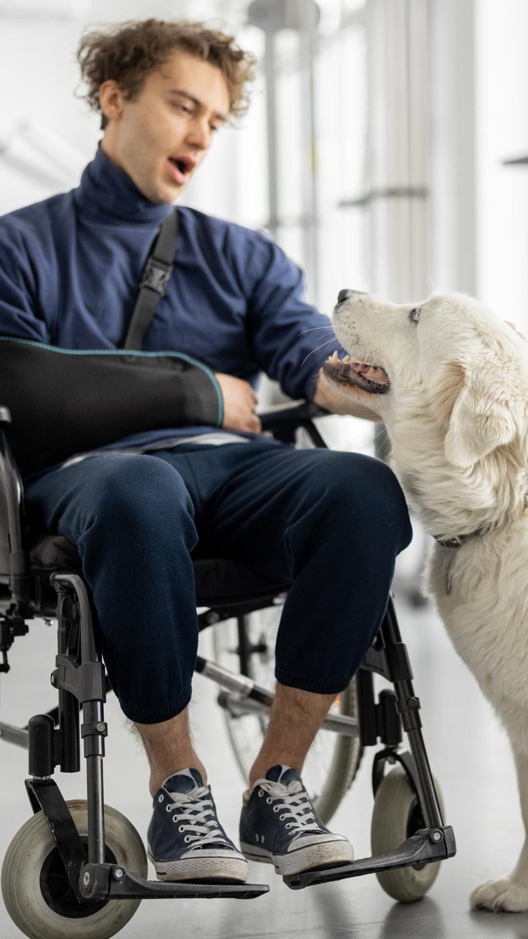 A Man in a Wheelchair is Petting a Dog — ACT Law Associates In Canberra, ACT