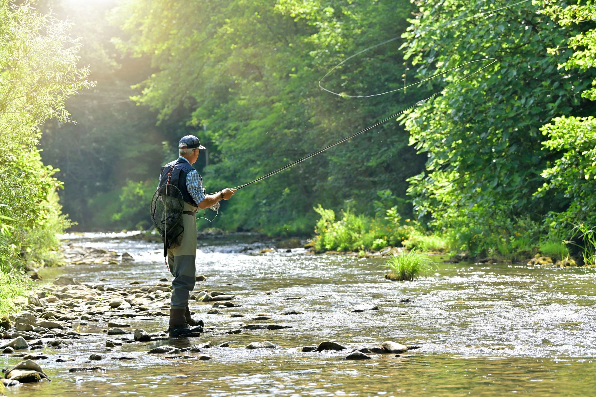 Fly fisherman standing in a shallow, sunlit river surrounded by lush green trees