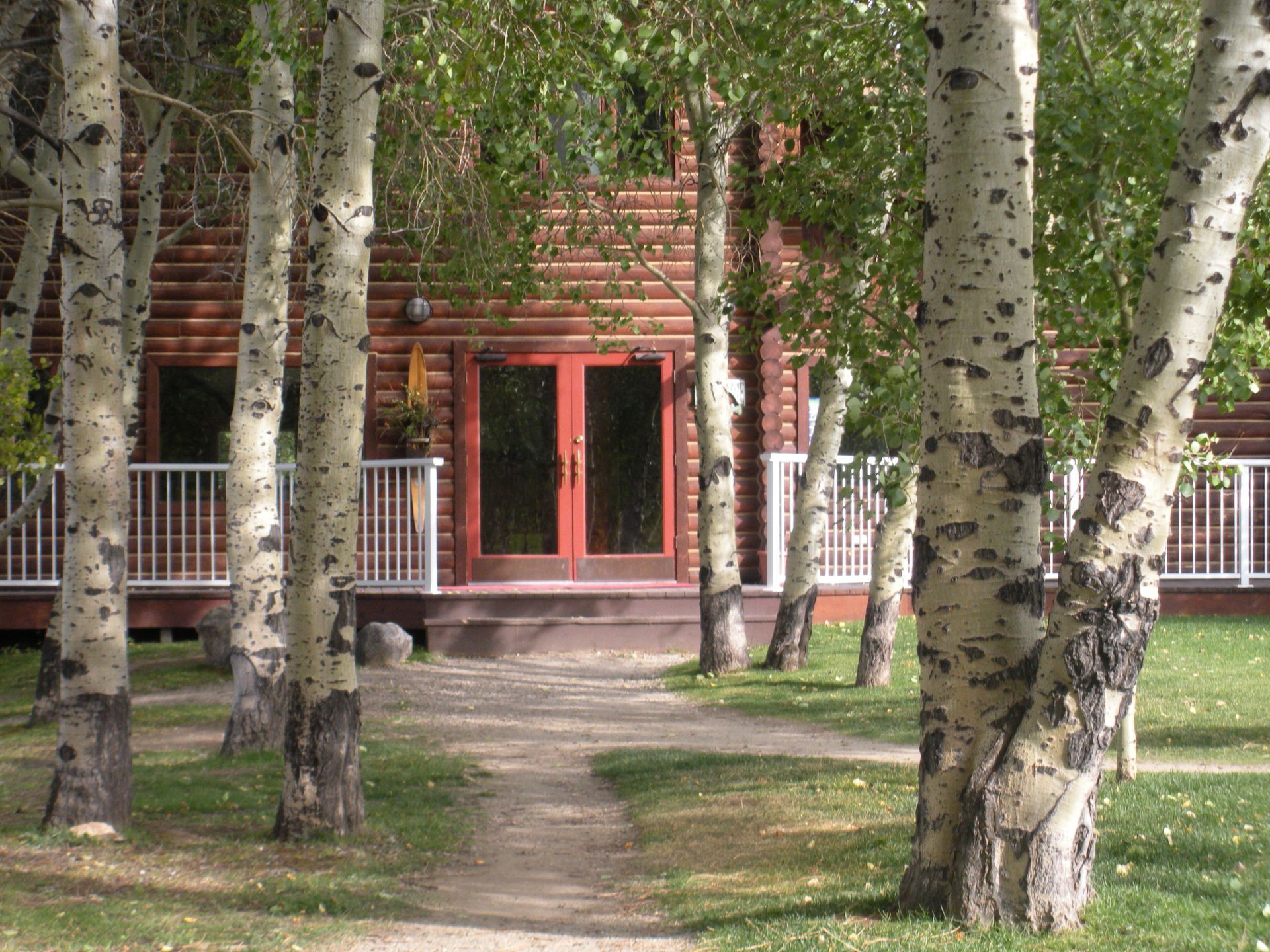 Birch trees in front of a red wooden cabin with a porch and central doorway