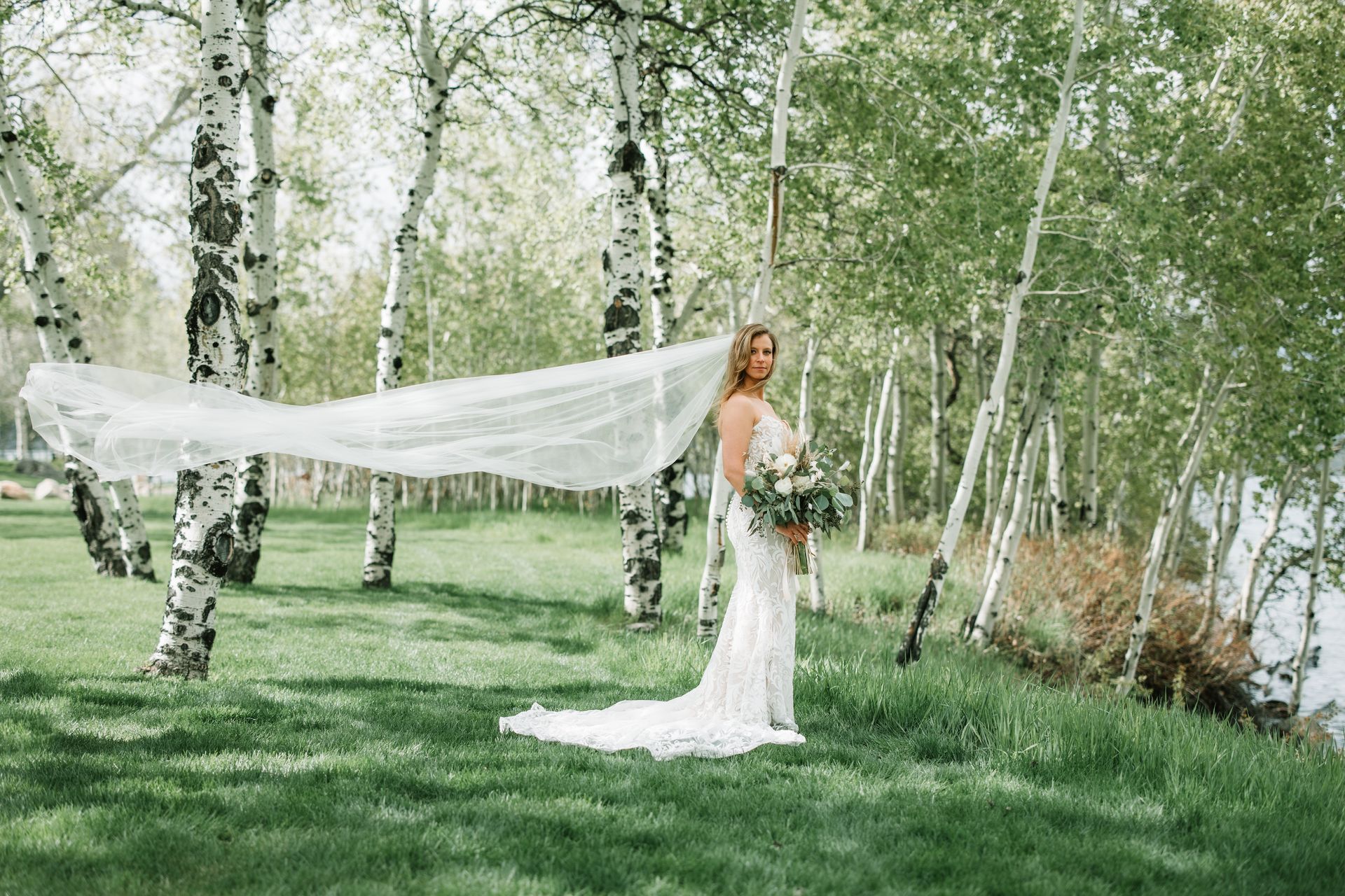 Bride in white gown with long veil standing in a birch grove on a grassy lawn