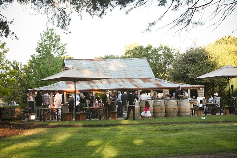 Outdoor gathering under a tin-roof pavilion with people standing around tables in a grassy park