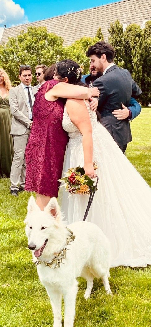 A Bride and Groom Are Hugging Their Dog at Their Wedding