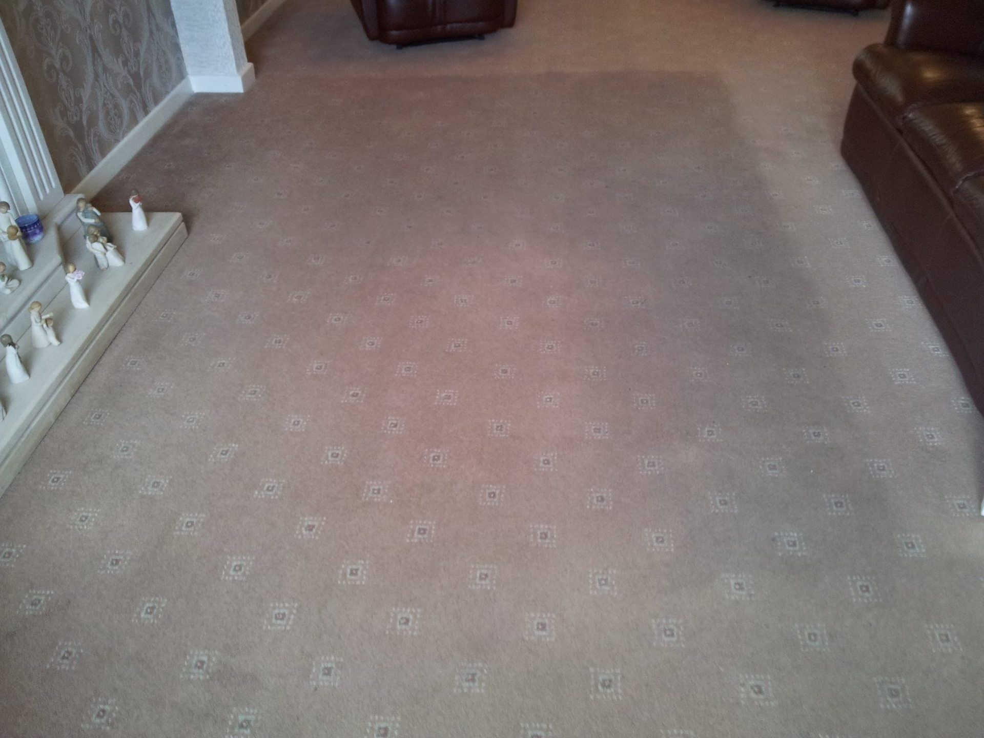 before home carpet cleaning