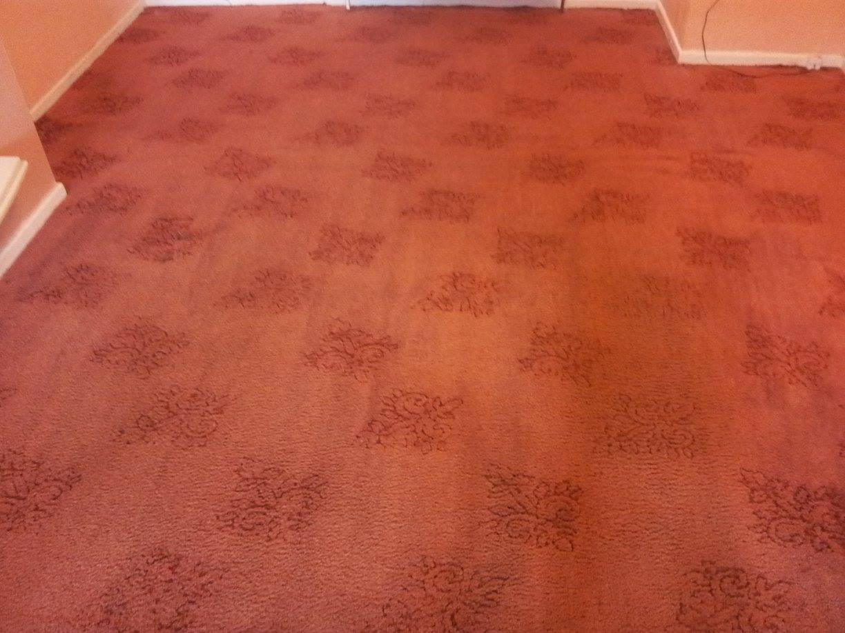 attractive carpet