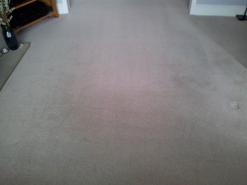 top-quality carpet cleaning