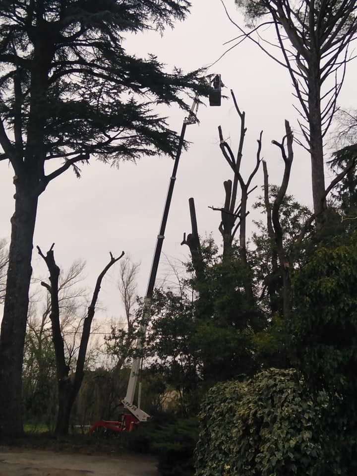 Noleggio macchinari rieti, noleggio macchine movimento terra, Rieti