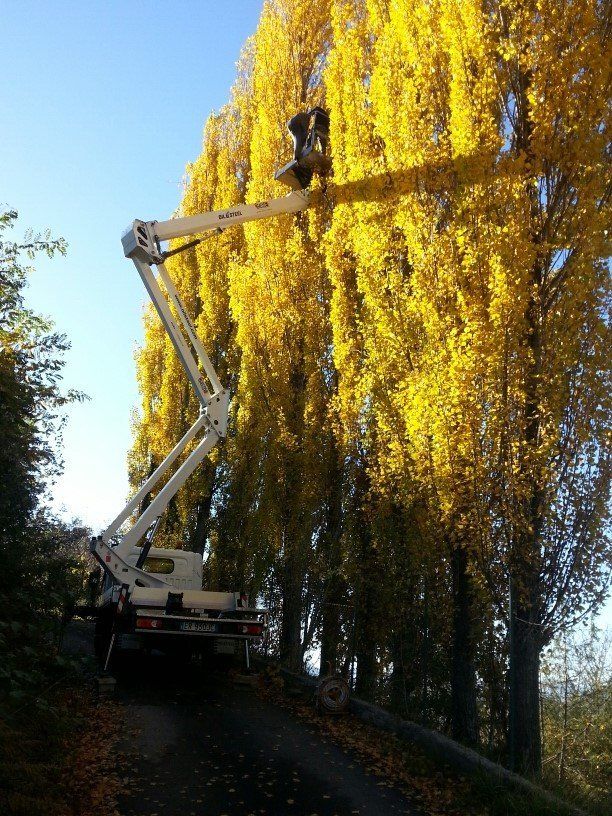 Noleggio Piattaforme Aeree, Rieti