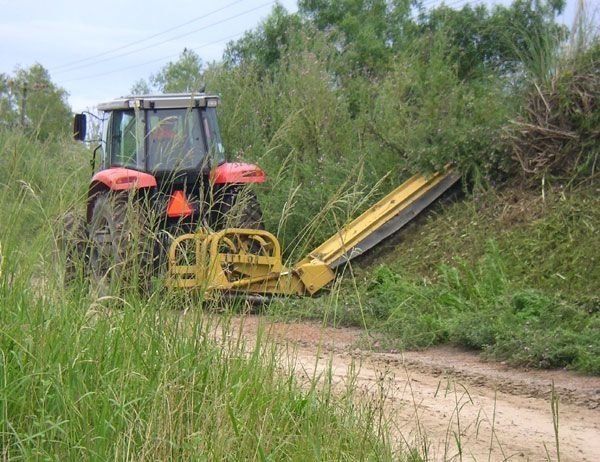 potature alberi alto fusto, piattaforme per potature alto fusto, rieti