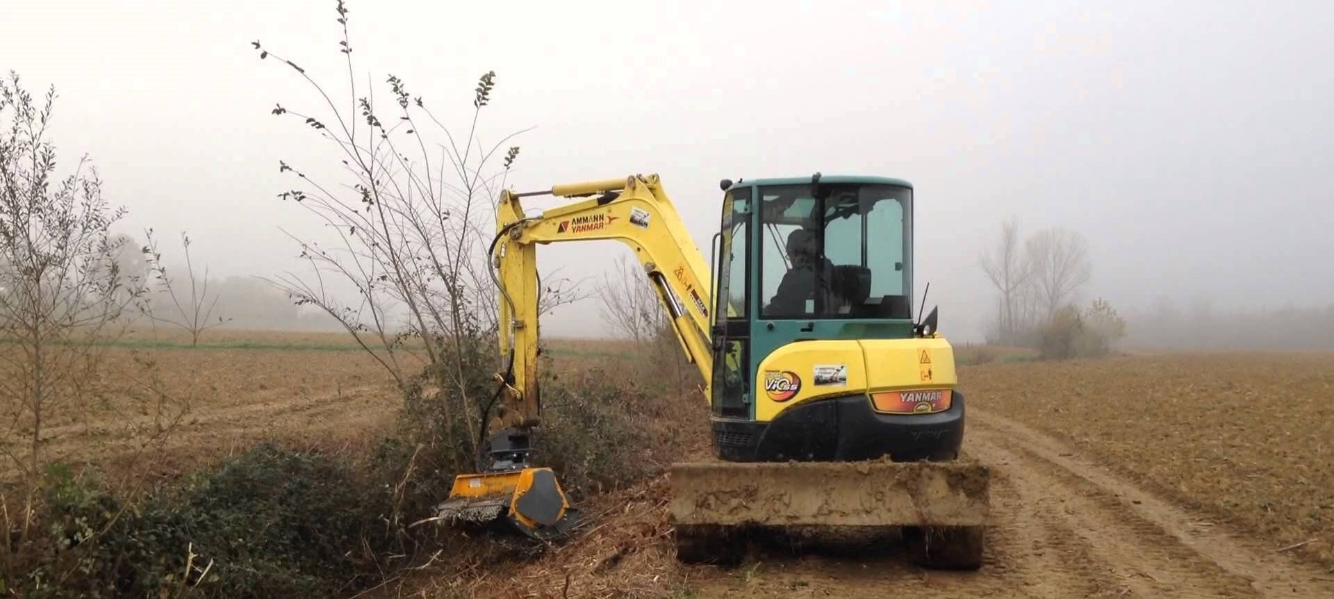 potature alberi alto fusto, piattaforme per potature alto fusto, rieti