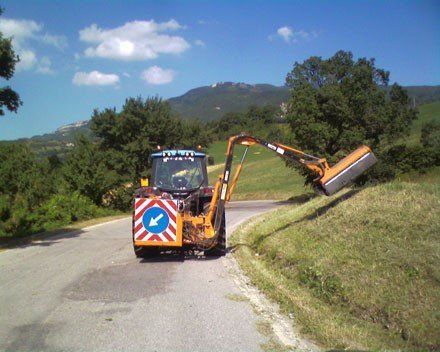 potature alberi alto fusto, piattaforme per potature alto fusto, rieti