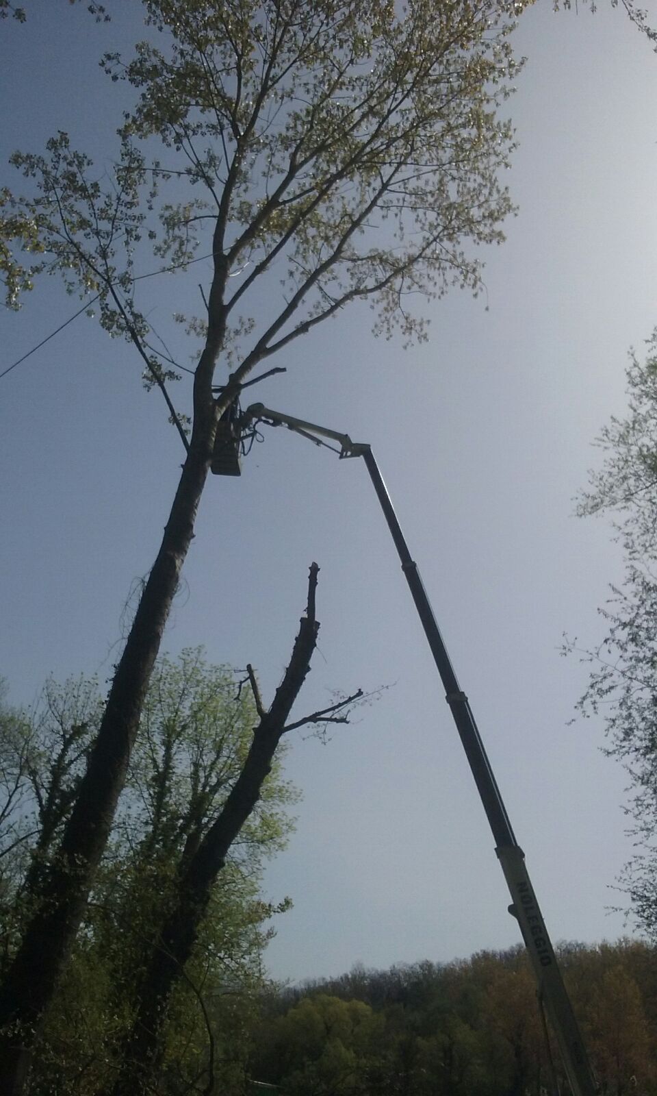 Noleggio Piattaforme Aeree, Rieti