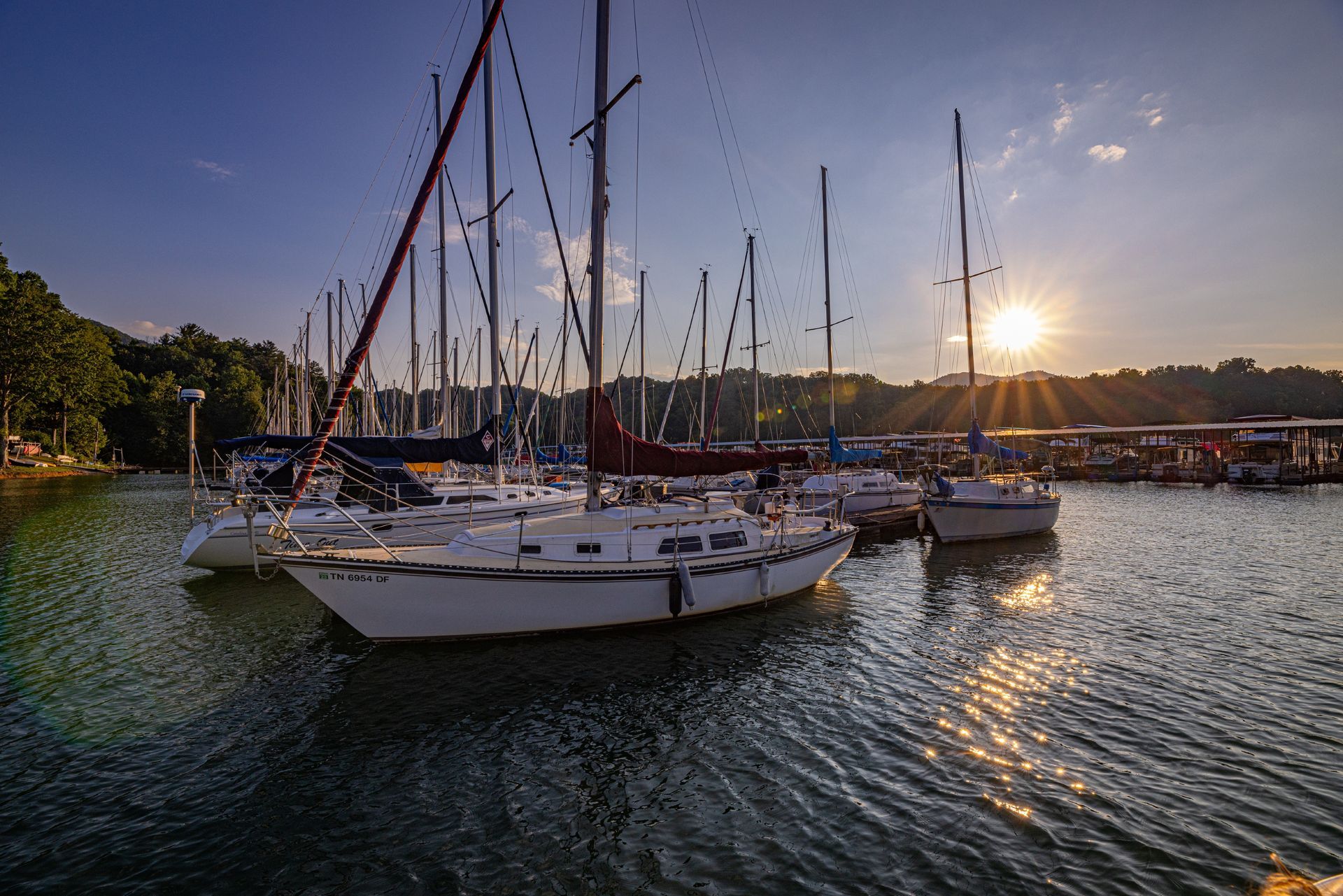 A group of sailboats are docked in a marina at sunset.