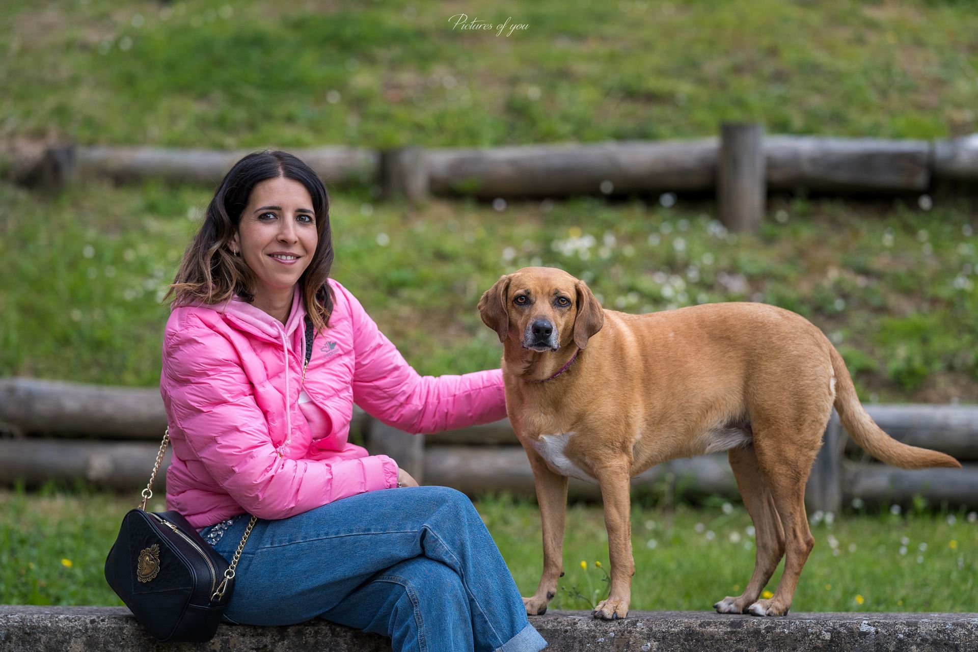 Fotografo cani Arezzo