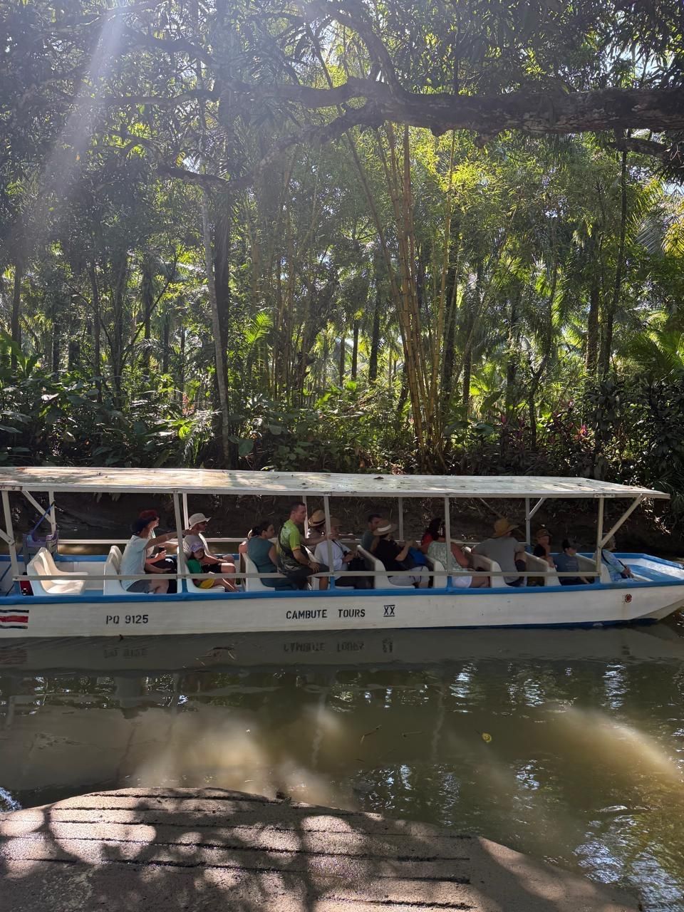 Un barco flota río abajo rodeado de árboles.