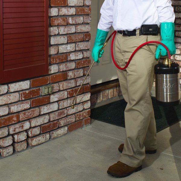 foundation pest spraying