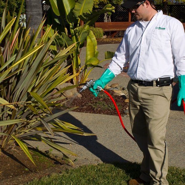 perimeter pest control