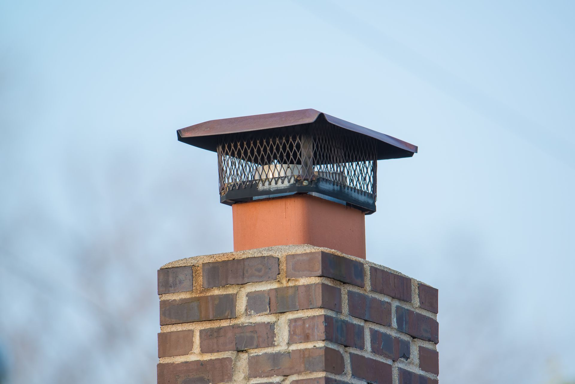 Pest Fencing Guard Around Vent — Greenville, MI – American Pest Solutions