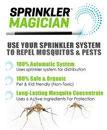 What-Is-Sprinkler-Magician