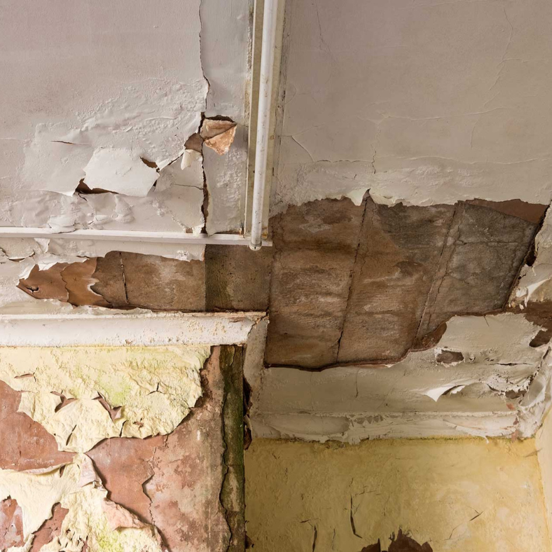 Dealing with a home in disrepair? We buy houses as-is, handling all repairs so you don't have to.