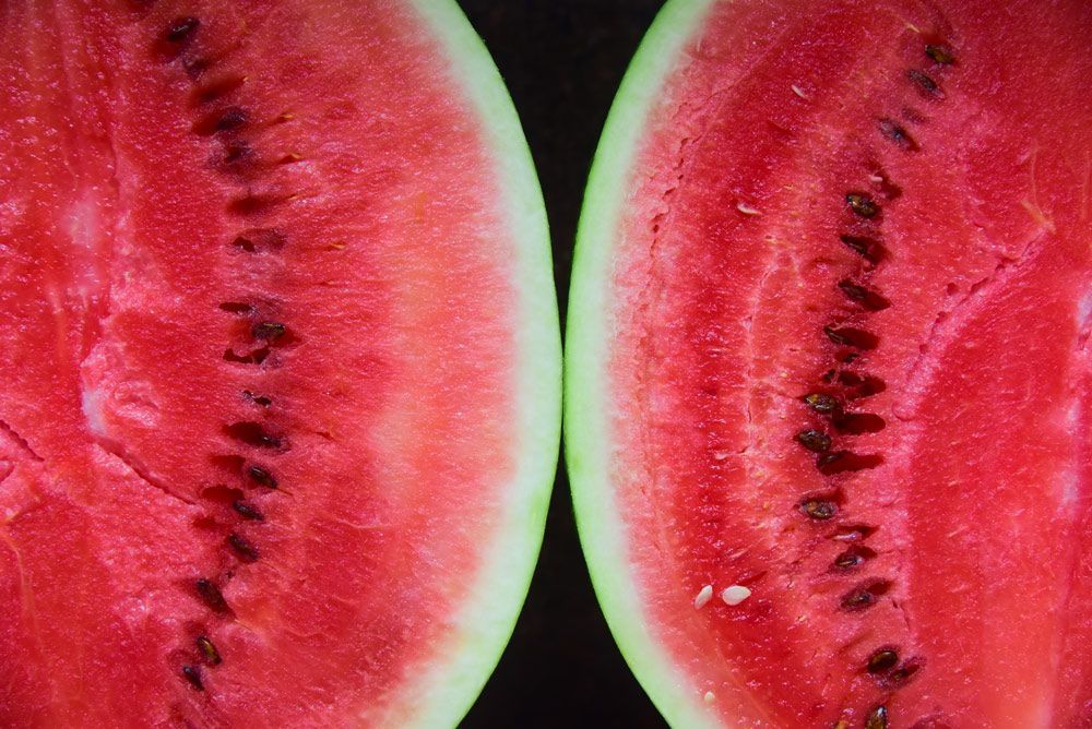 A Chinchilla’s Big Melon — Accommodation In Chinchilla, QLD