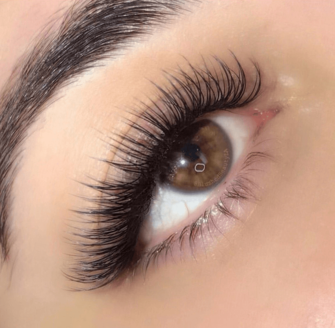 Nice Eyelash — Montclair, CA — Alyssa's Eyelash