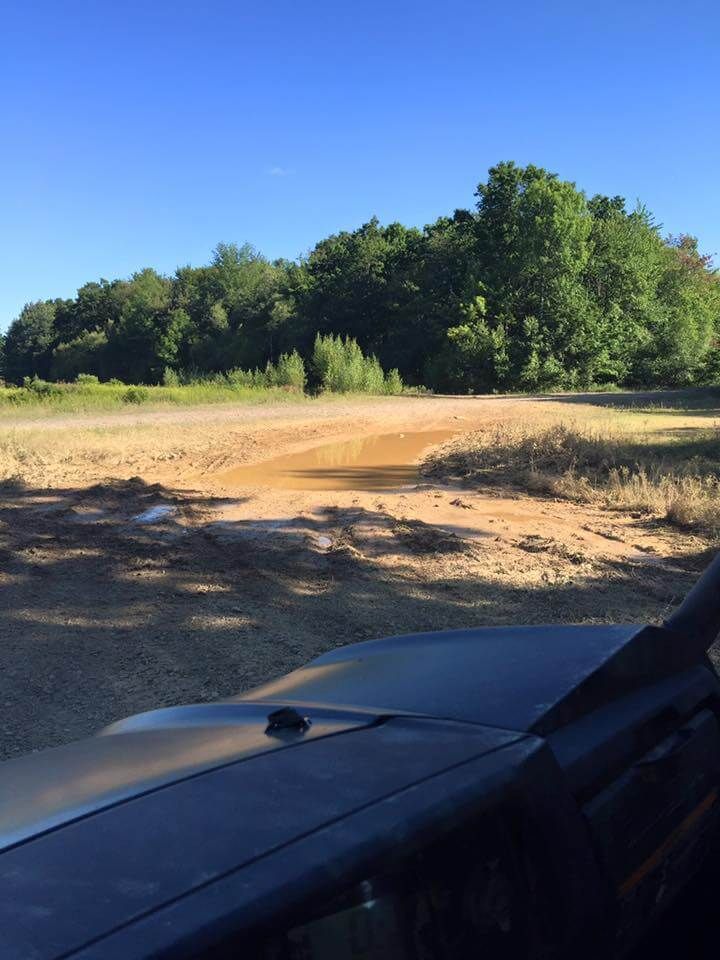 A car is driving down a dirt road with trees in the background