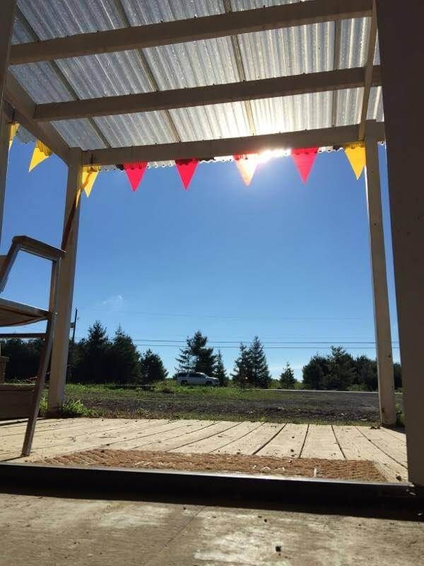 The sun is shining through the roof of a gazebo